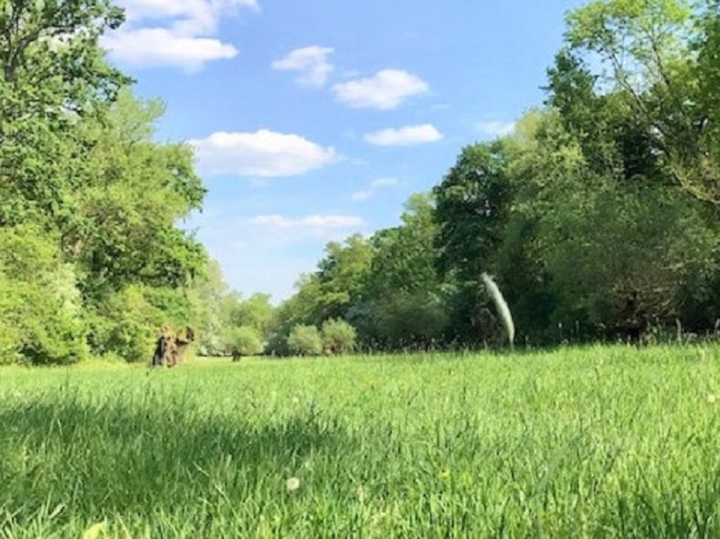 Inspirierendes Coaching in der Natur