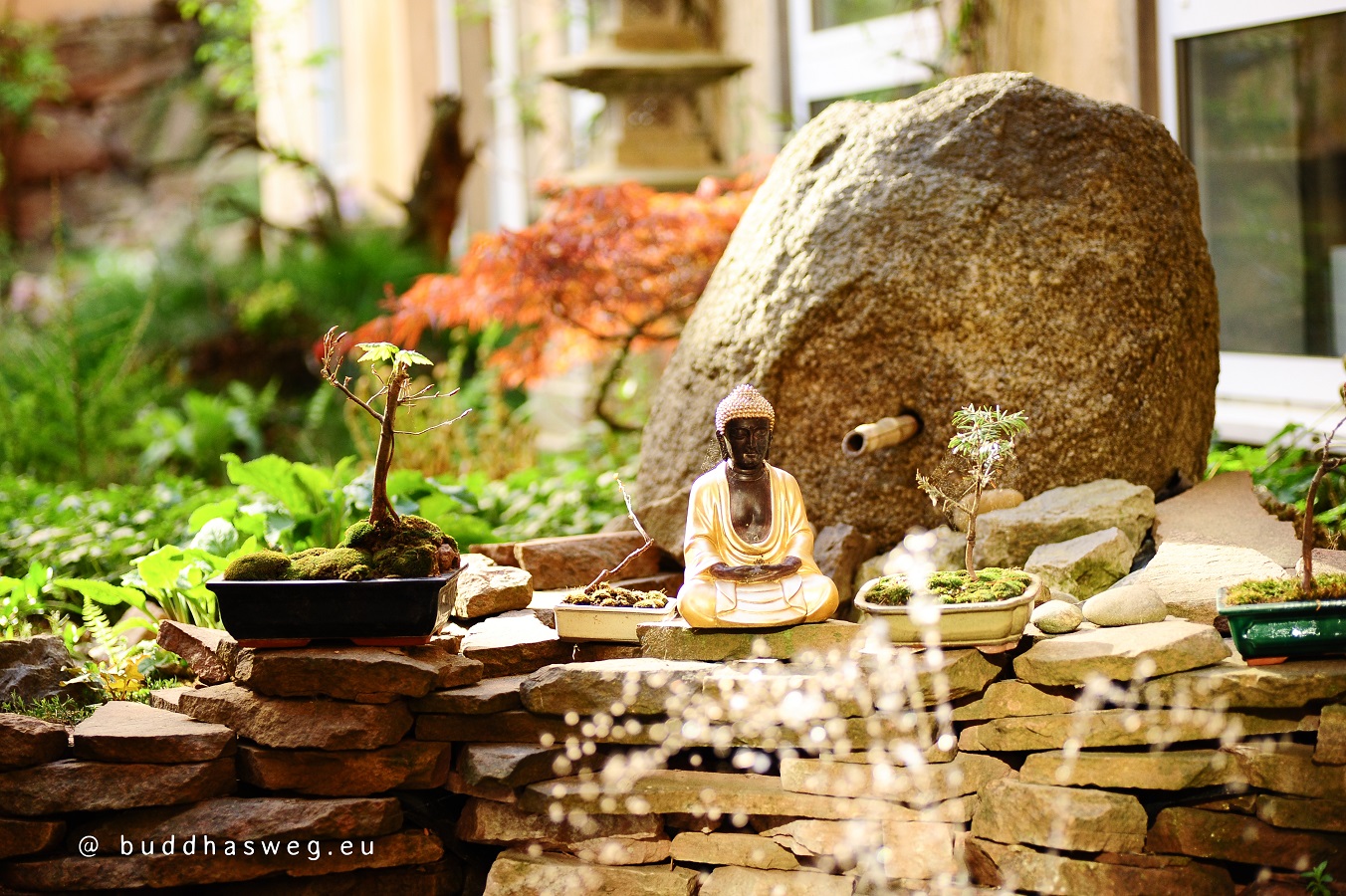Wohlfühl-Wochenende 'Zeit für Dich' in Buddhas Weg