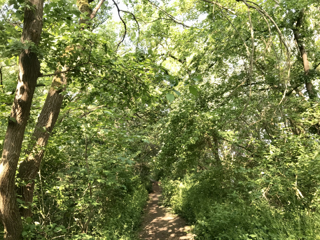 Stärke deine Resilienz Workshop